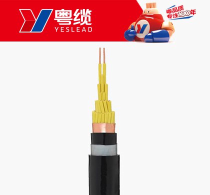 广东会铠装屏蔽控制电缆